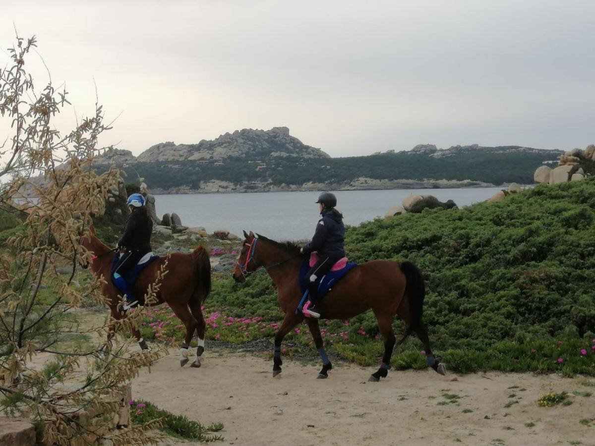 Casa Baia Santa Reparata - Santa Teresa Di Gallura Iun Q1712 Экстерьер фото